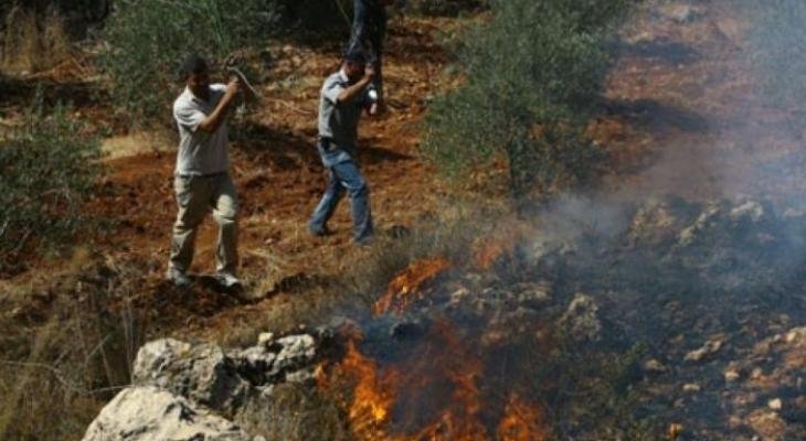 مستوطنون يحرقون أراضي زراعية في بلدة سعير